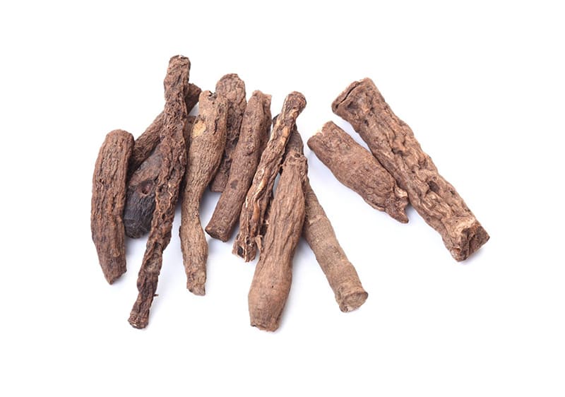 tiên mao có tính ẩm giúp bổ thận cường dương