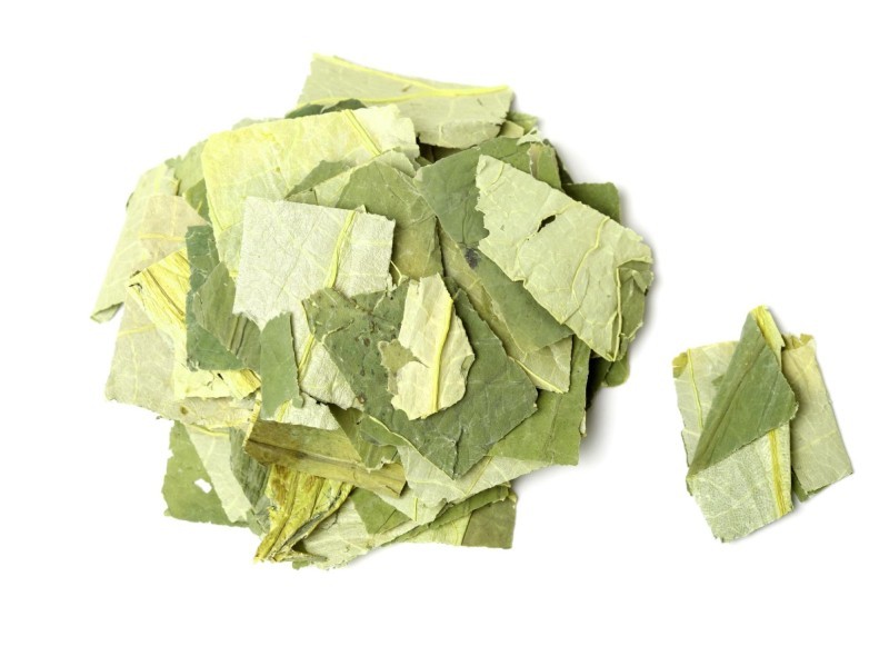 gan nhiễm mỡ nên uống nước lá gì