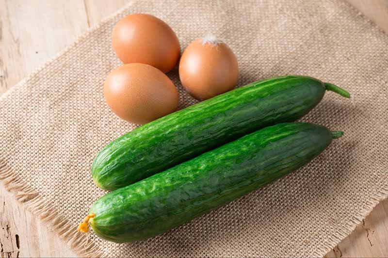 làm trắng da tay bằng trứng gà và dưa leo