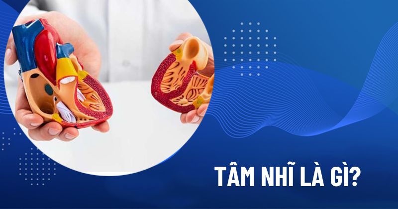 tâm nhĩ là gì