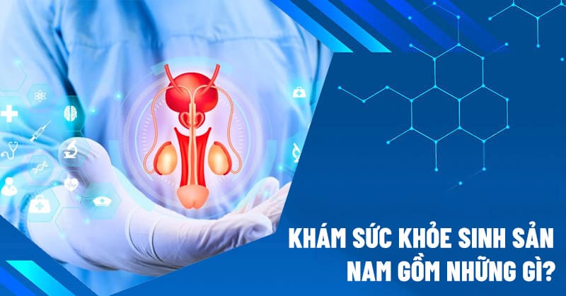 khám sức khỏe sinh sản nam gồm những gì