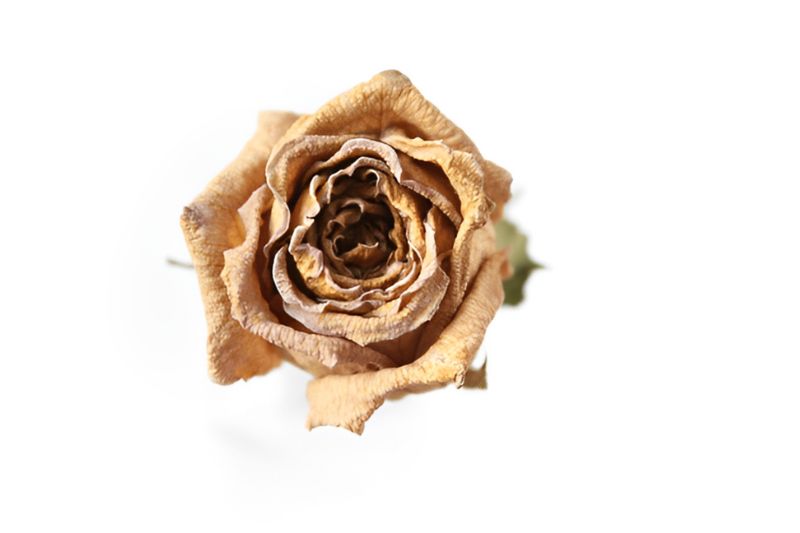 Khô âm đạo là triệu chứng phổ biến trong thời kỳ tiền mãn kinh ảnh hưởng xấu đến đời sống tình dục.