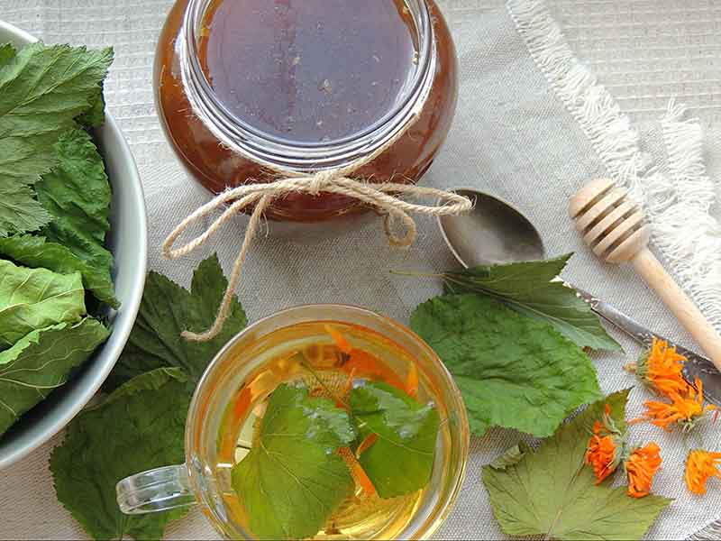 tắm trắng bằng lá dâu tằm và mật ong