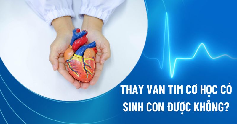 Thay van tim cơ học có sinh con được không? Nguy cơ cần biết