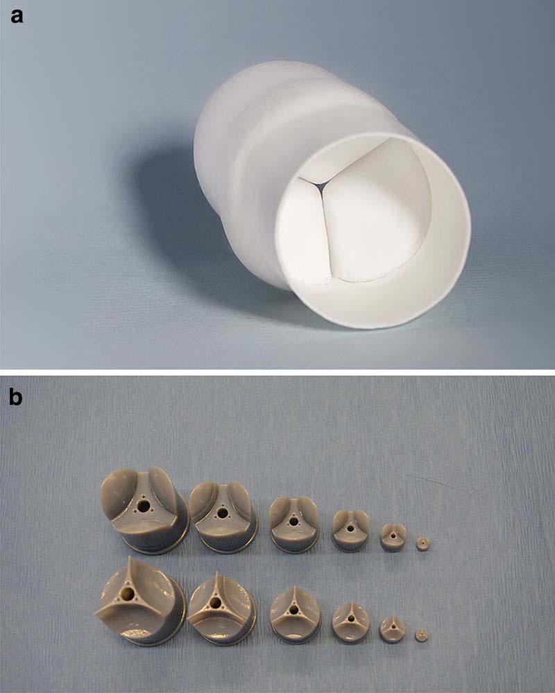 van tim mô sinh học