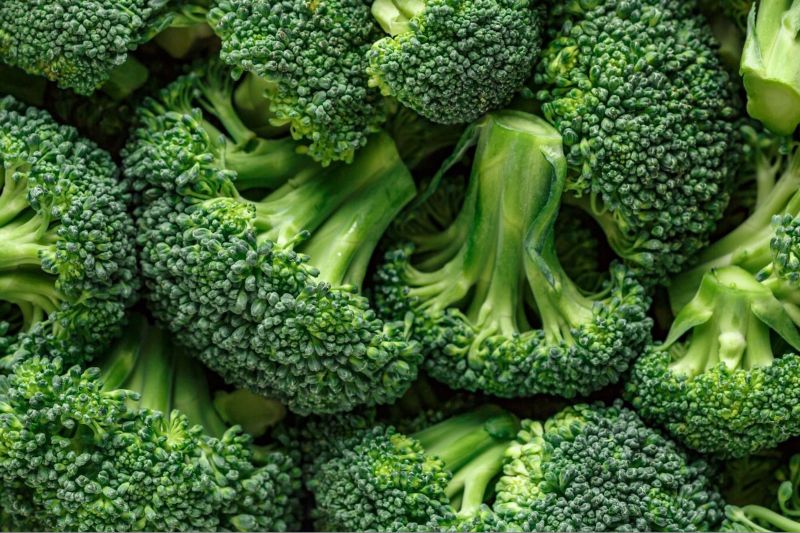 Bổ sung tinh chất Broccophane giúp bảo vệ thủy tinh thể, võng mạc, hỗ trợ làm chậm tiến triển loạn thị.