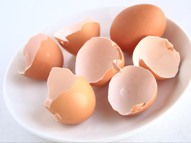 Bổ sung tinh chất Eggshell Membrane