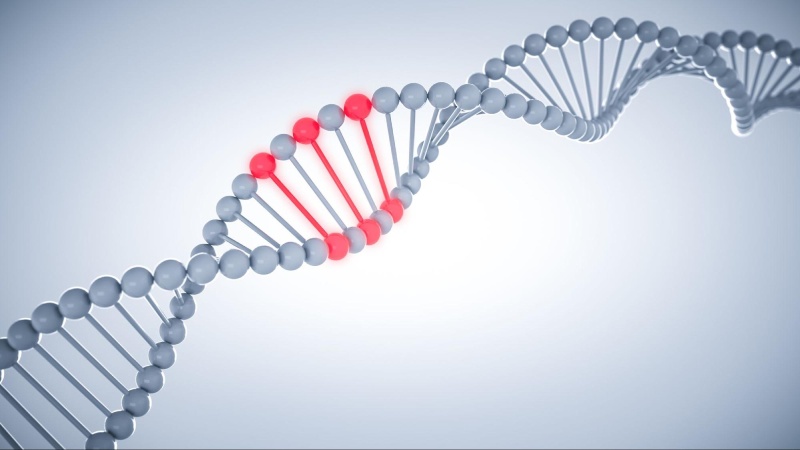 gan nhiễm mỡ di truyền không