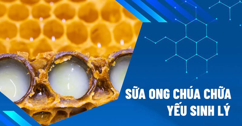 sữa ong chúa chữa yếu sinh lý