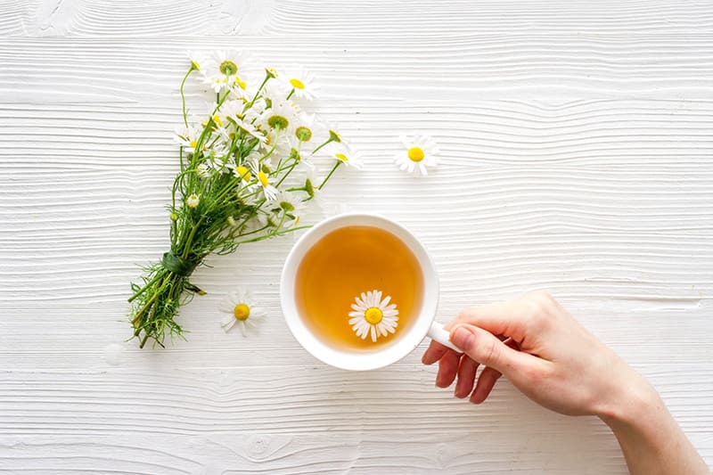uống trà hoa cúc làm dịu hệ thần kinh