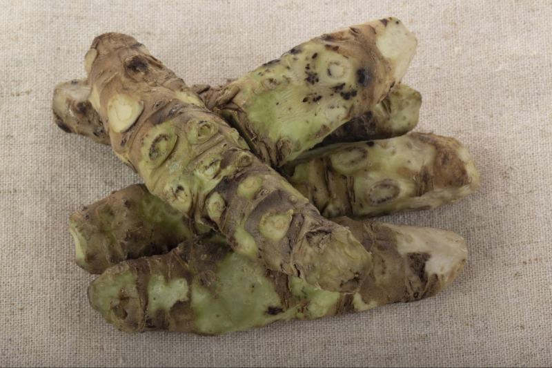 wasabia giúp giảm viêm gan