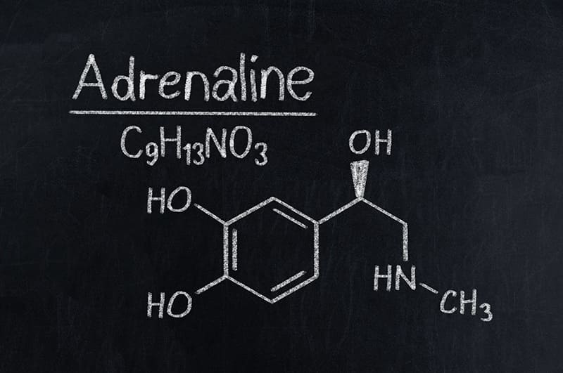 adrenaline tăng cao khiến hưng phấn khó ngủ