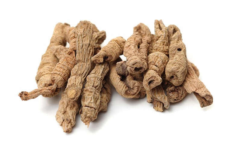 ba kích kích thích sản sinh testosterone