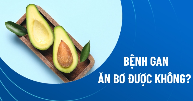 bệnh gan ăn bơ được không
