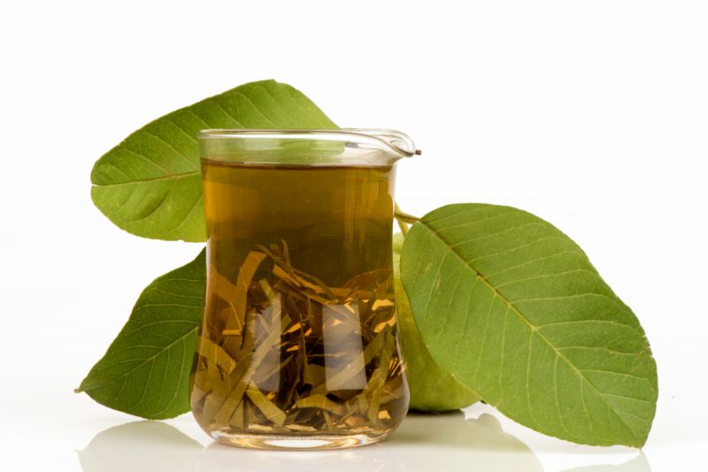 rửa mặt bằng nước lá ổi