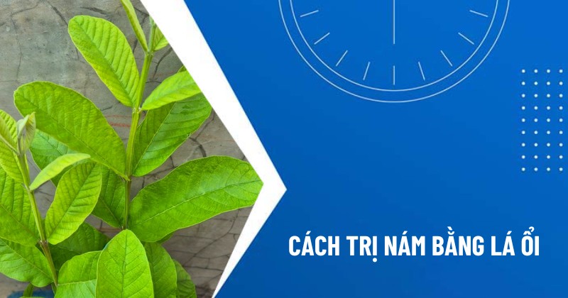 cách trị nám bằng lá ổi