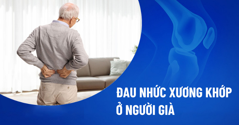 Đau nhức xương khớp ở người già