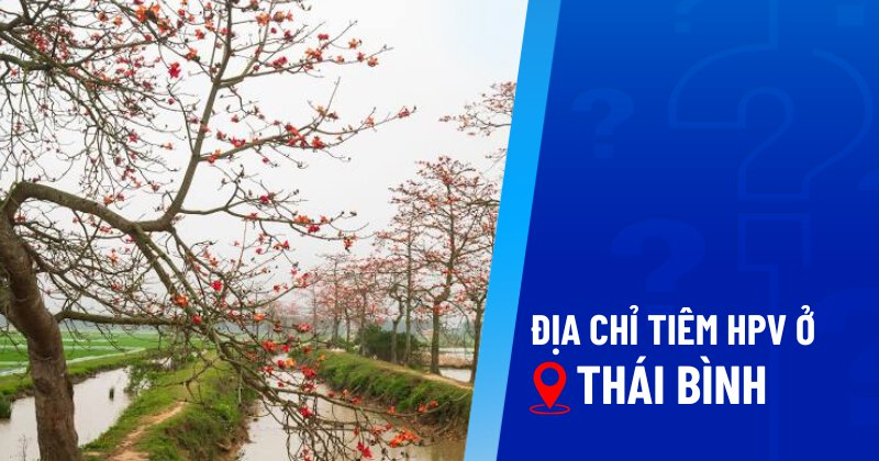 địa điểm tiêm hpv ở thái bình