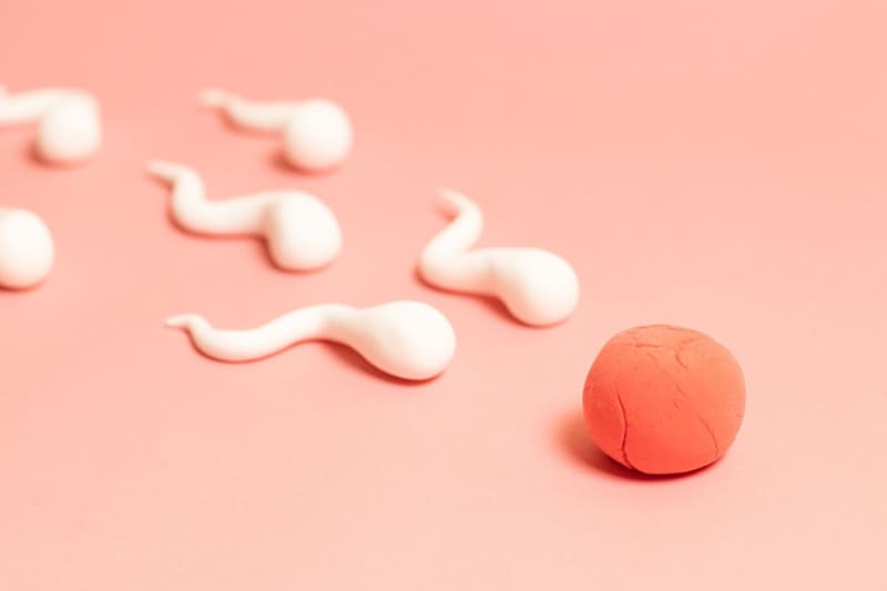 kẽm bảo vệ hình dạng tinh trùng