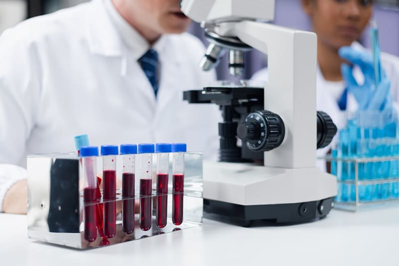 mẫu máu sẽ được gửi đến phòng thí nghiệm để phân tích