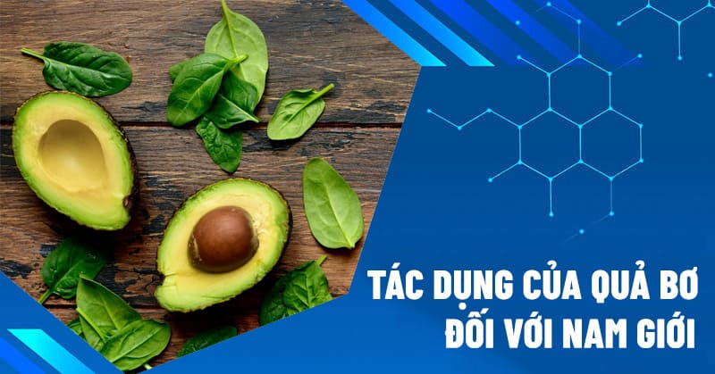 tác dụng của quả bơ đối với nam giới