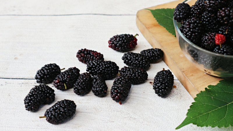 bệnh gan ăn dâu tằm tốt không