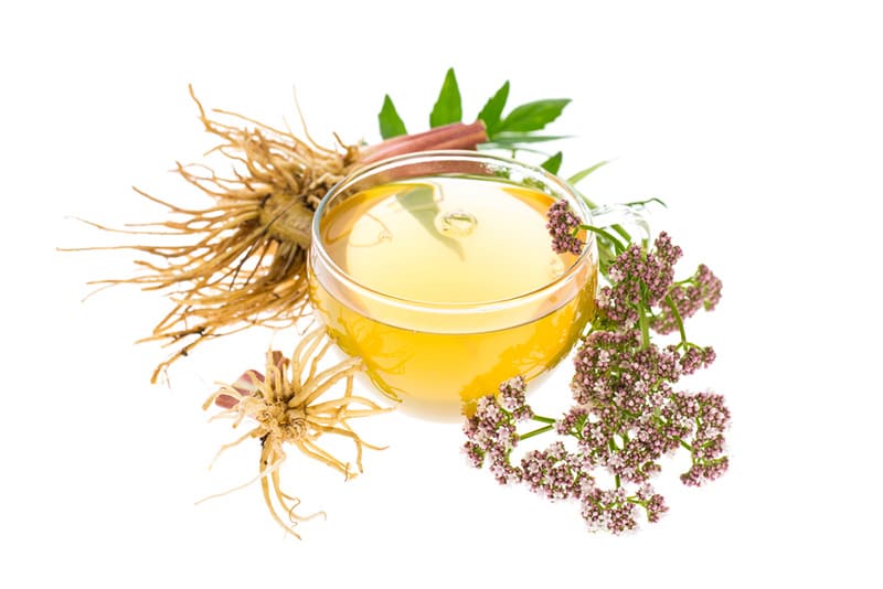 cây nữ lang chữa mất ngủ được dùng dưới nhiều dạng