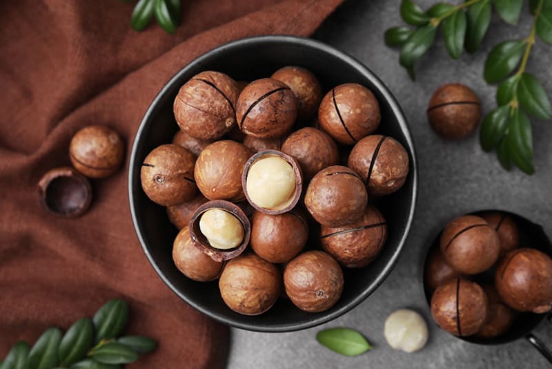 người có cholesterol cao nên ăn macca với liều lượng phù hợp