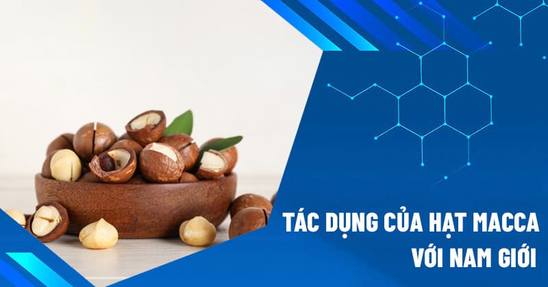 tác dụng của hạt macca với nam giới