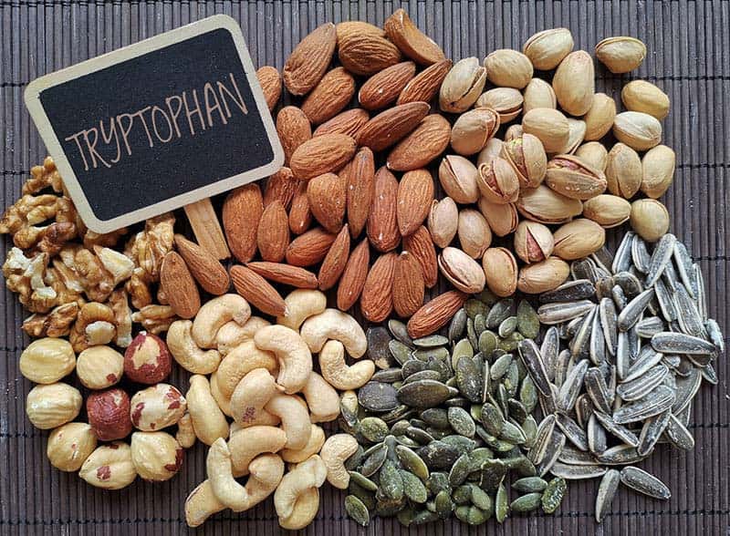 thiếu tryptophan khiến ngủ không sâu giấc