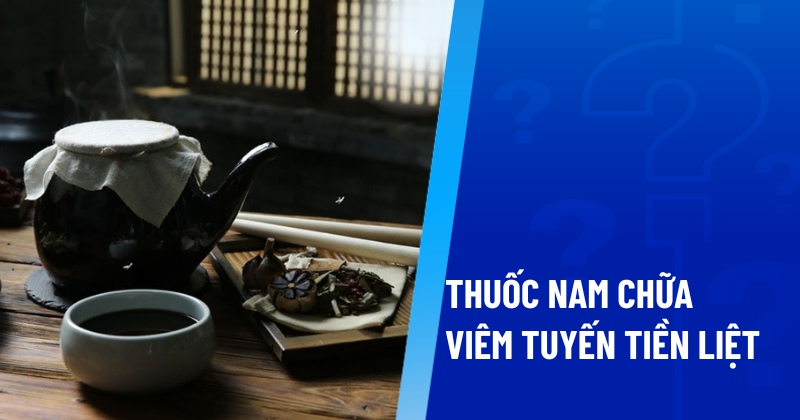 thuốc nam chữa viêm tuyến tiền liệt