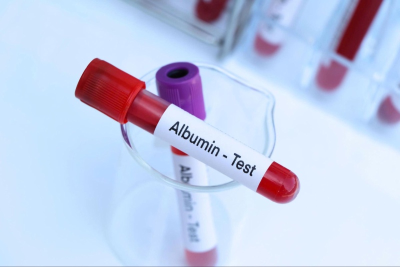 chỉ số men gan bình thường