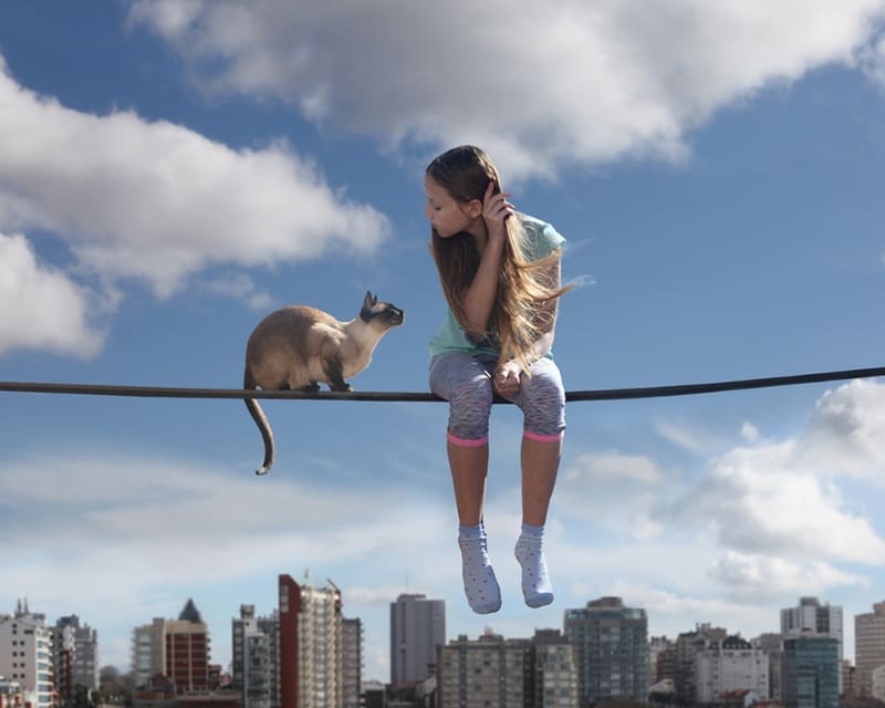 chu kỳ ngủ rem tạo ra các giấc mơ sống động