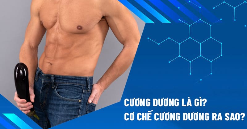 cương dương là gì