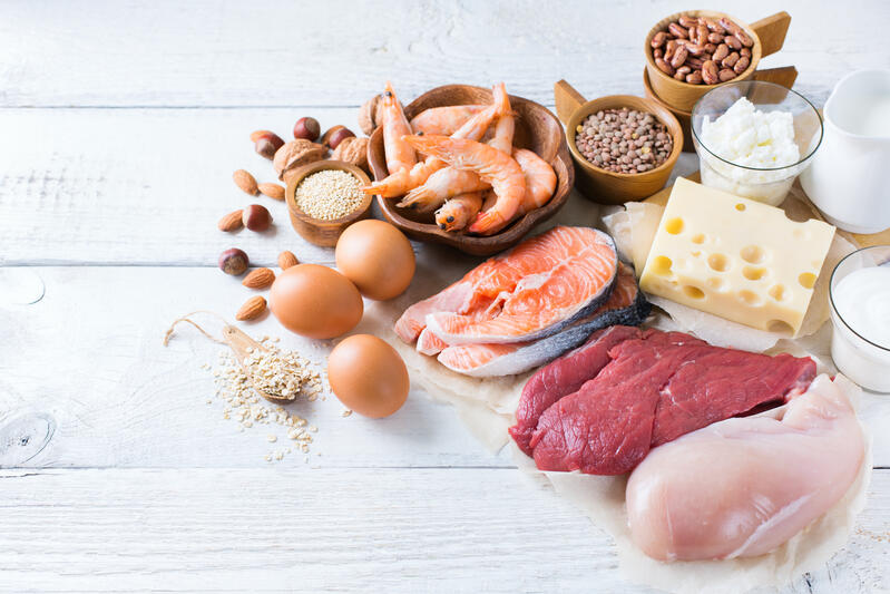 các thực phẩm giàu protein
