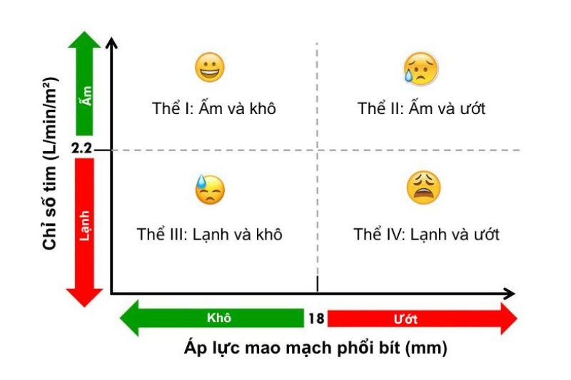 phân loại suy tim cấp Forrester