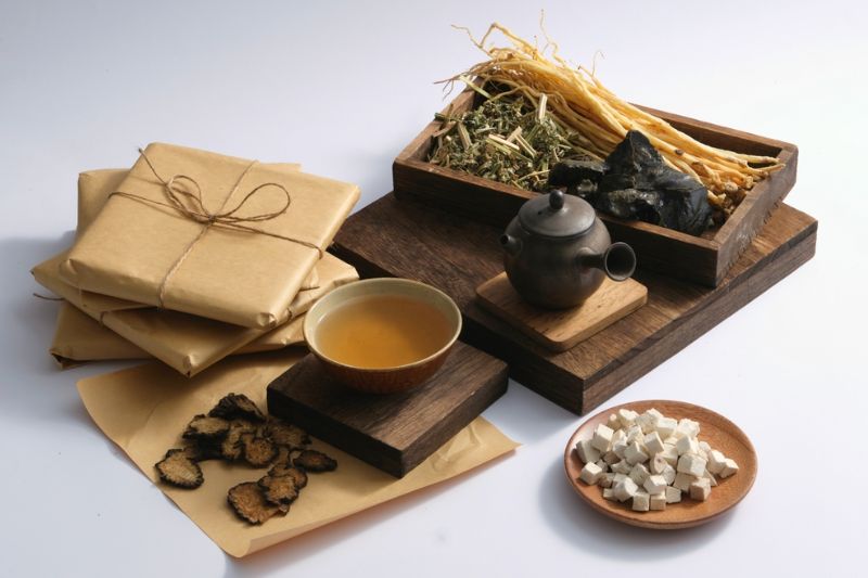 bài thuốc đông y từ thục địa