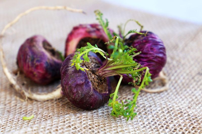 Tinh chất Lepidium Meyenii kích thích FSH, tăng sản xuất nội tiết tố