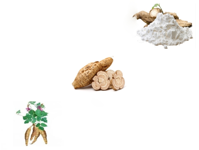bột sắn dây tính hàn
