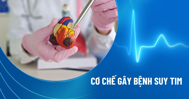 cơ chế suy tim