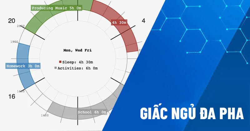 giấc ngủ đa pha