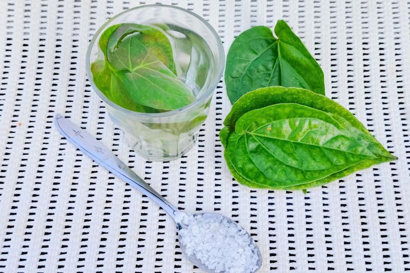 lá trầu không và muối xóa mờ nám