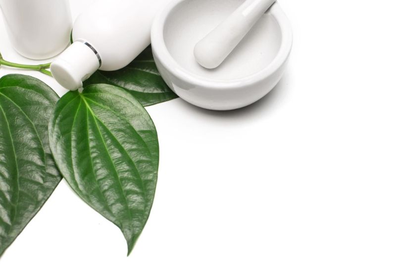 đắp mặt nạ lá trầu không cải thiện nám da