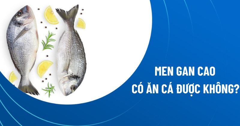 men gan cao có ăn cá được không