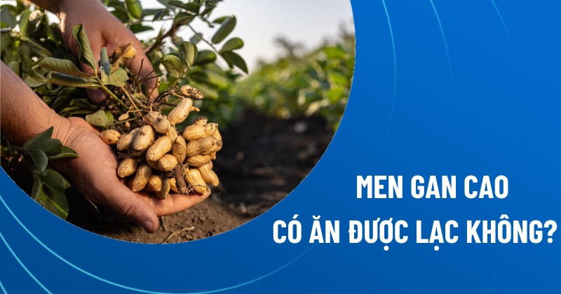 men gan cao có ăn được lạc không