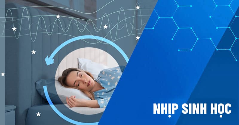 nhịp sinh học