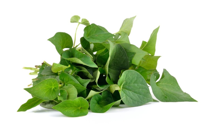 rau giúp giải độc