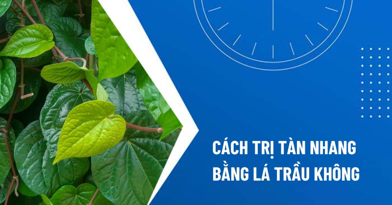 trị tàn nhang bằng lá trầu không