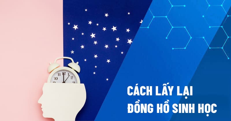 cách lấy lại đồng hồ sinh học