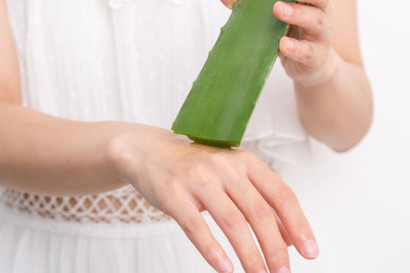 nha đam là nguyên liệu thiên nhiên trị đồi mồi